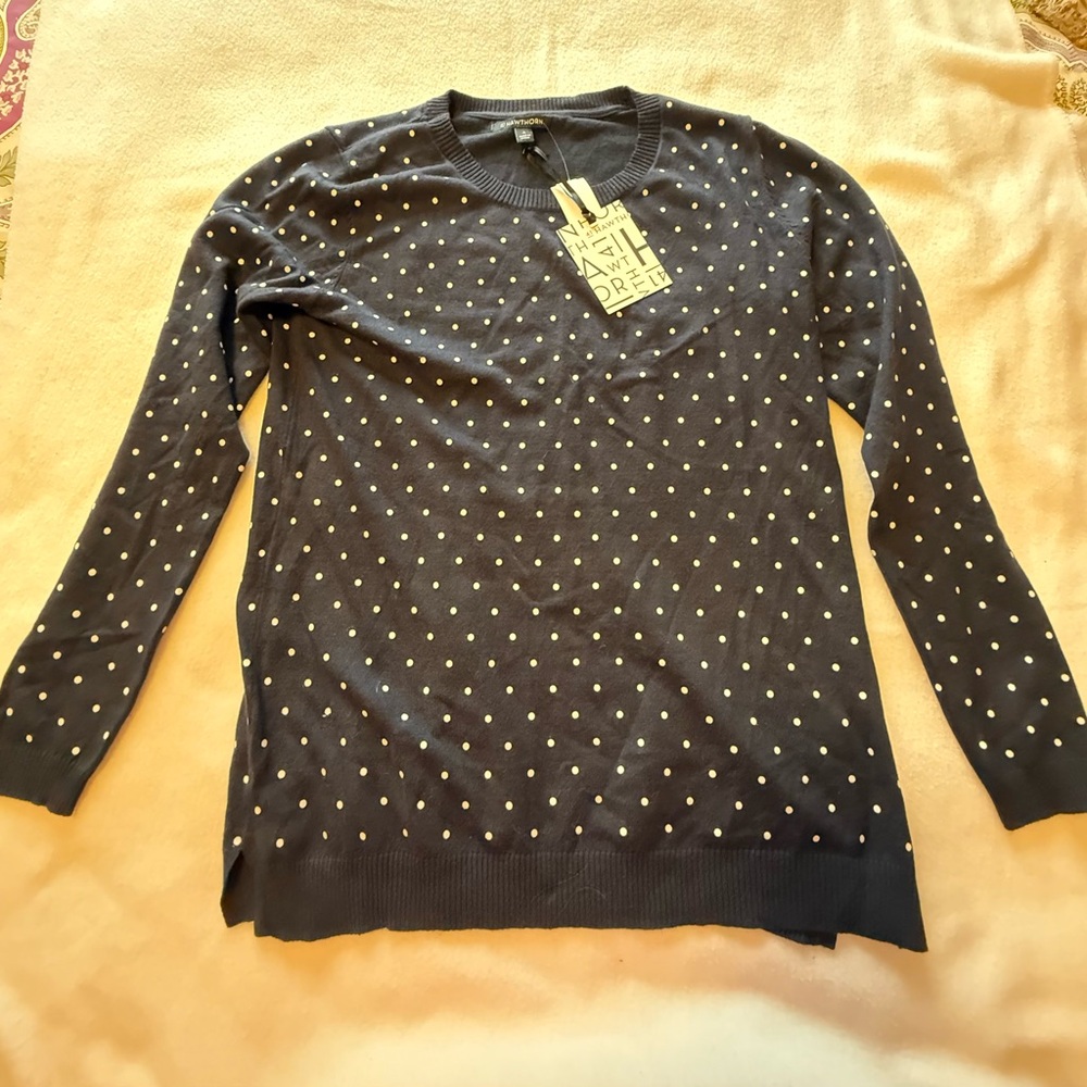 41 Hawthorn Navy Sweater with White Dots